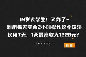 19岁大学生！利用每天空余2小时操作这个玩法，仅用7天，1天最高收入1228元？-辰星
