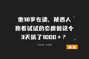 他18岁在读，陕西人，抱着试试的态度做这个，3天搞了1000＋？-辰星
