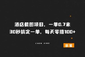 酒店截图项目，一单0.7米 30秒搞定一单，每天零撸100+-辰星