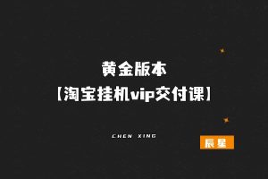 黄金版本【淘宝挂机vip交付课】-辰星